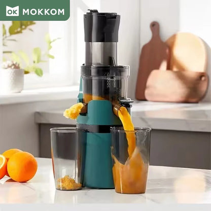 Electric Fruit Juicer Machine