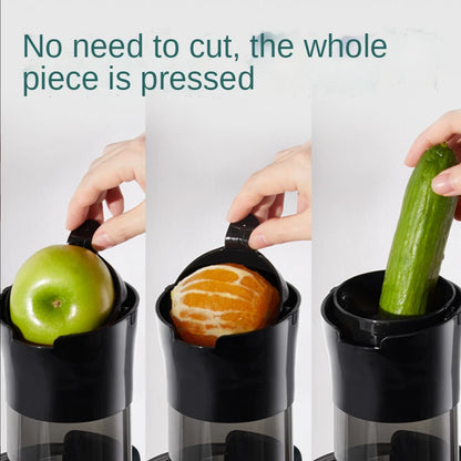 Electric Fruit Juicer Machine