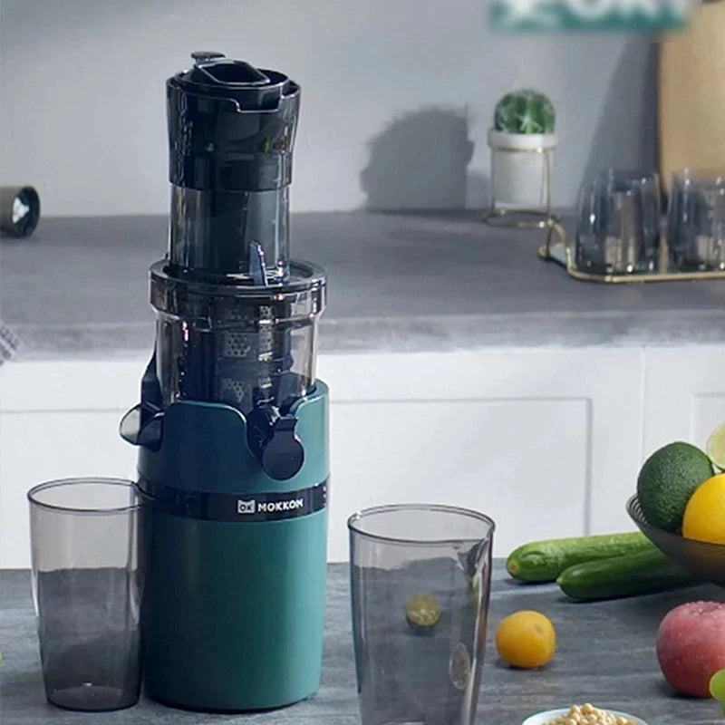 Electric Fruit Juicer Machine