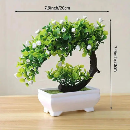 Small Bonsai Tree